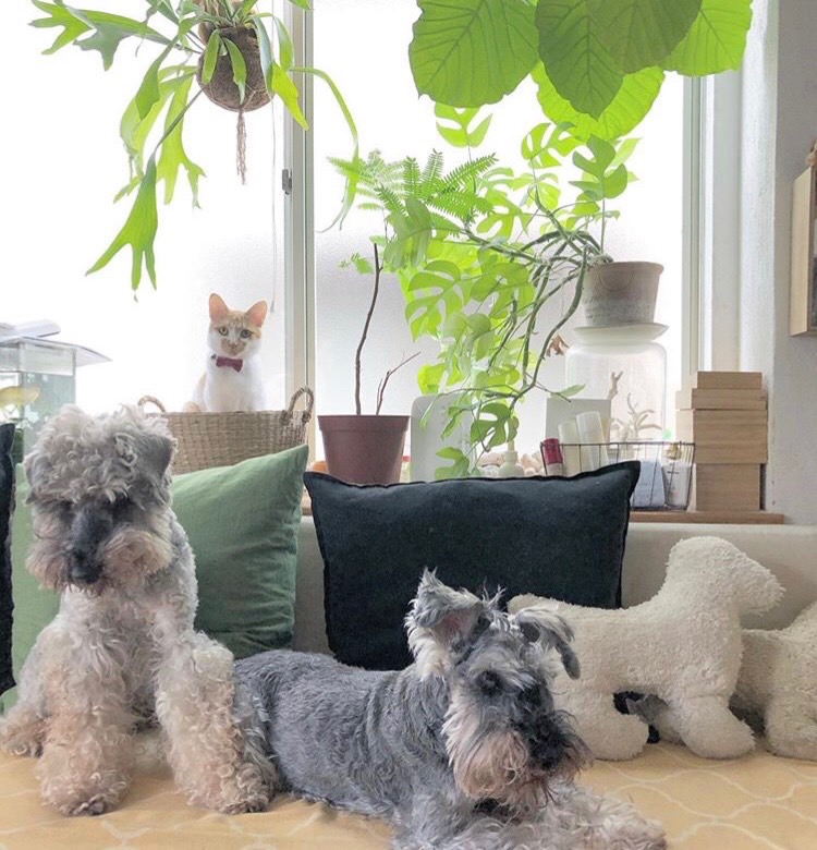 ～お気に入りの場所🐈～