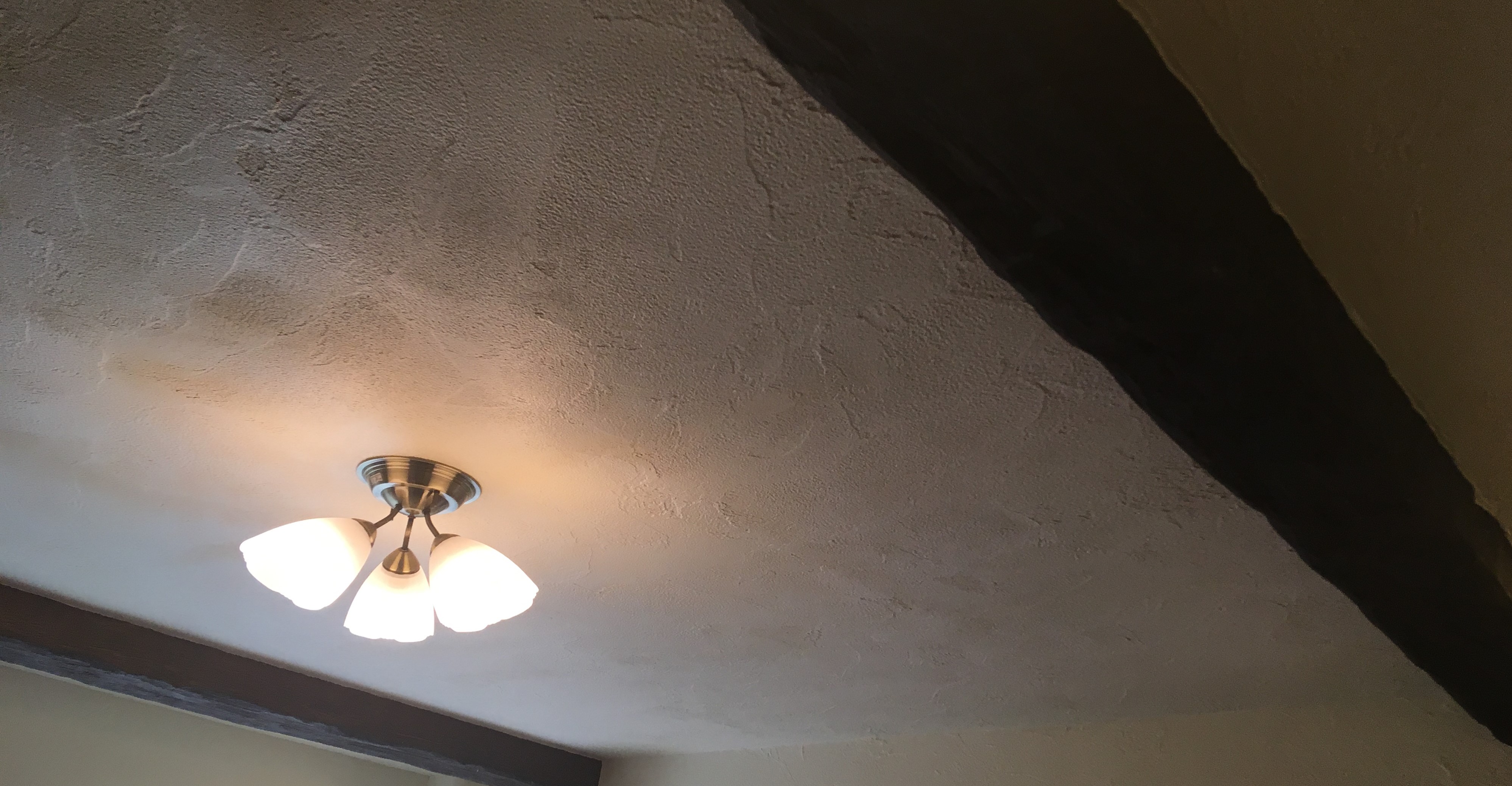 ～バスツアー☆～