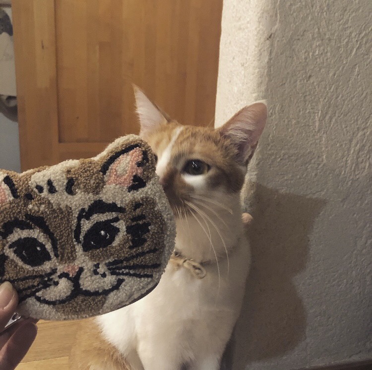 〜猫グッズ🐱〜