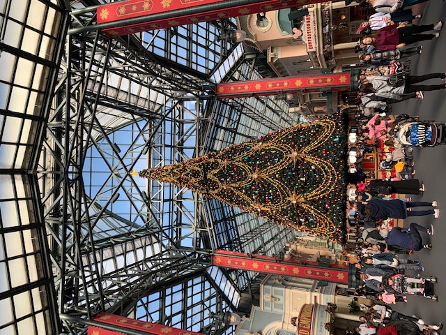 11月になりました