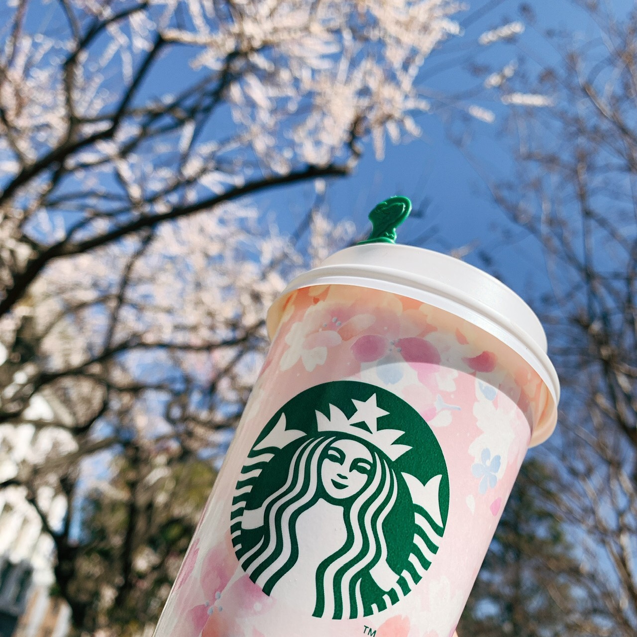 春を感じる日々