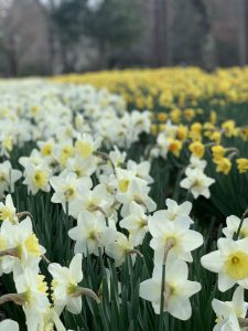 098BE007-705E-4637-84C2-B2A2E0E82A2B