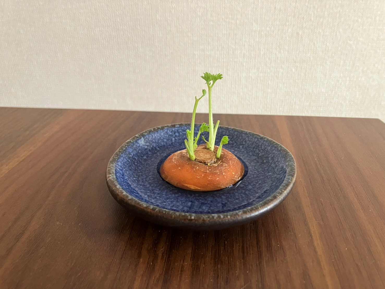 カメラマン撮影～アートが溢れてます～