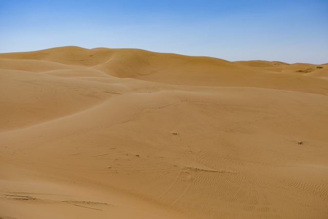 ゴビ砂漠　黄砂