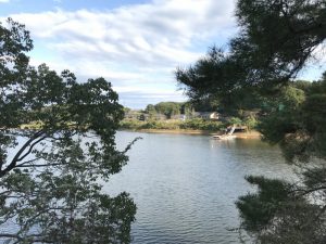 2089FB27-DF5E-4780-A7B2-B50B7D06E630