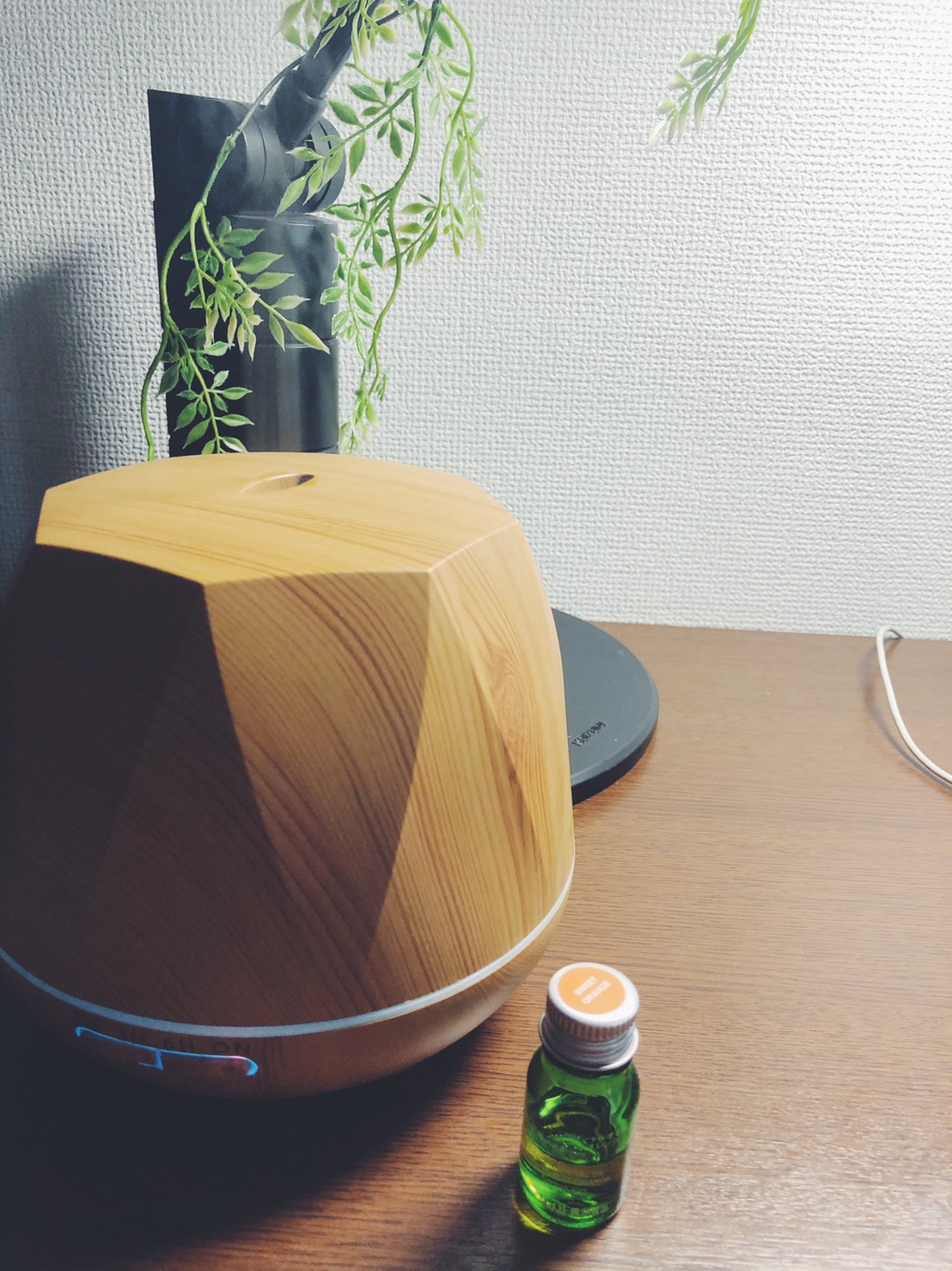 おうち時間におすすめ