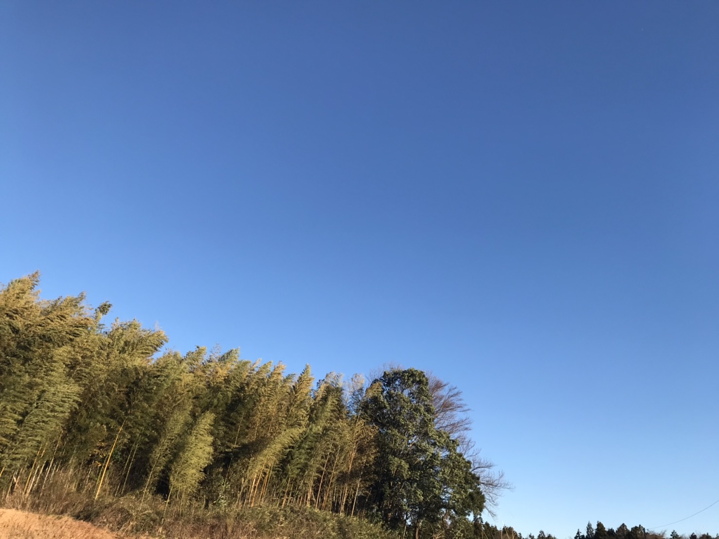 もう年末ですね～。