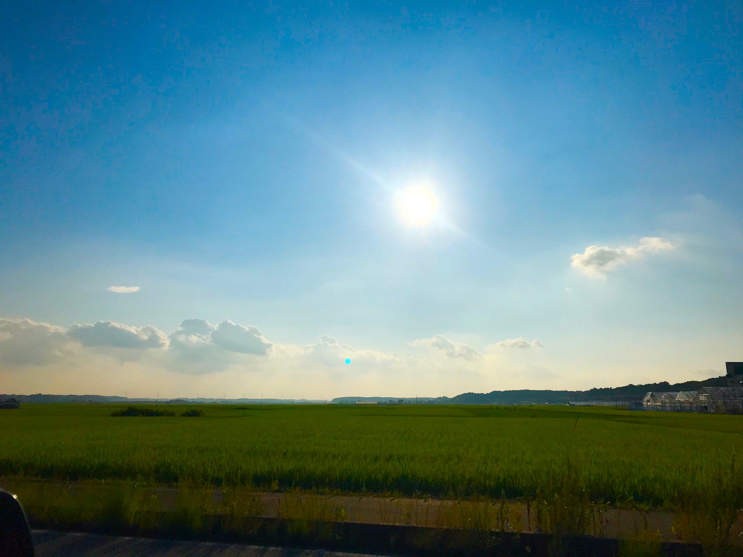 もうすぐ梅雨明け