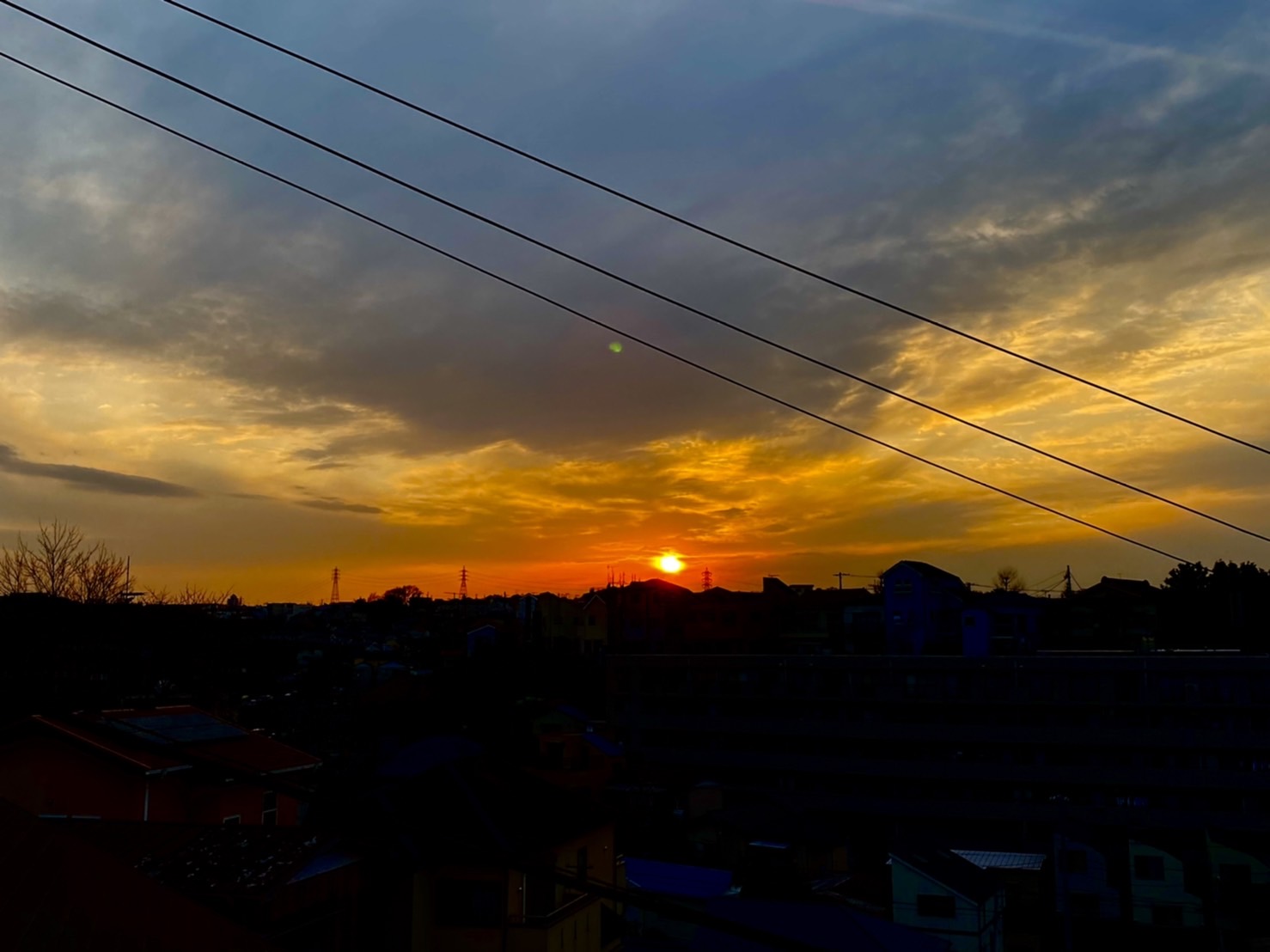 ～最近のできごと～