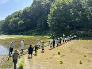 7EDF4EC2-E7B0-4D38-88E3-A281ECDA0649