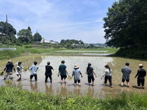 B7930312-9AAF-4E31-837B-2D80ADD7F04A