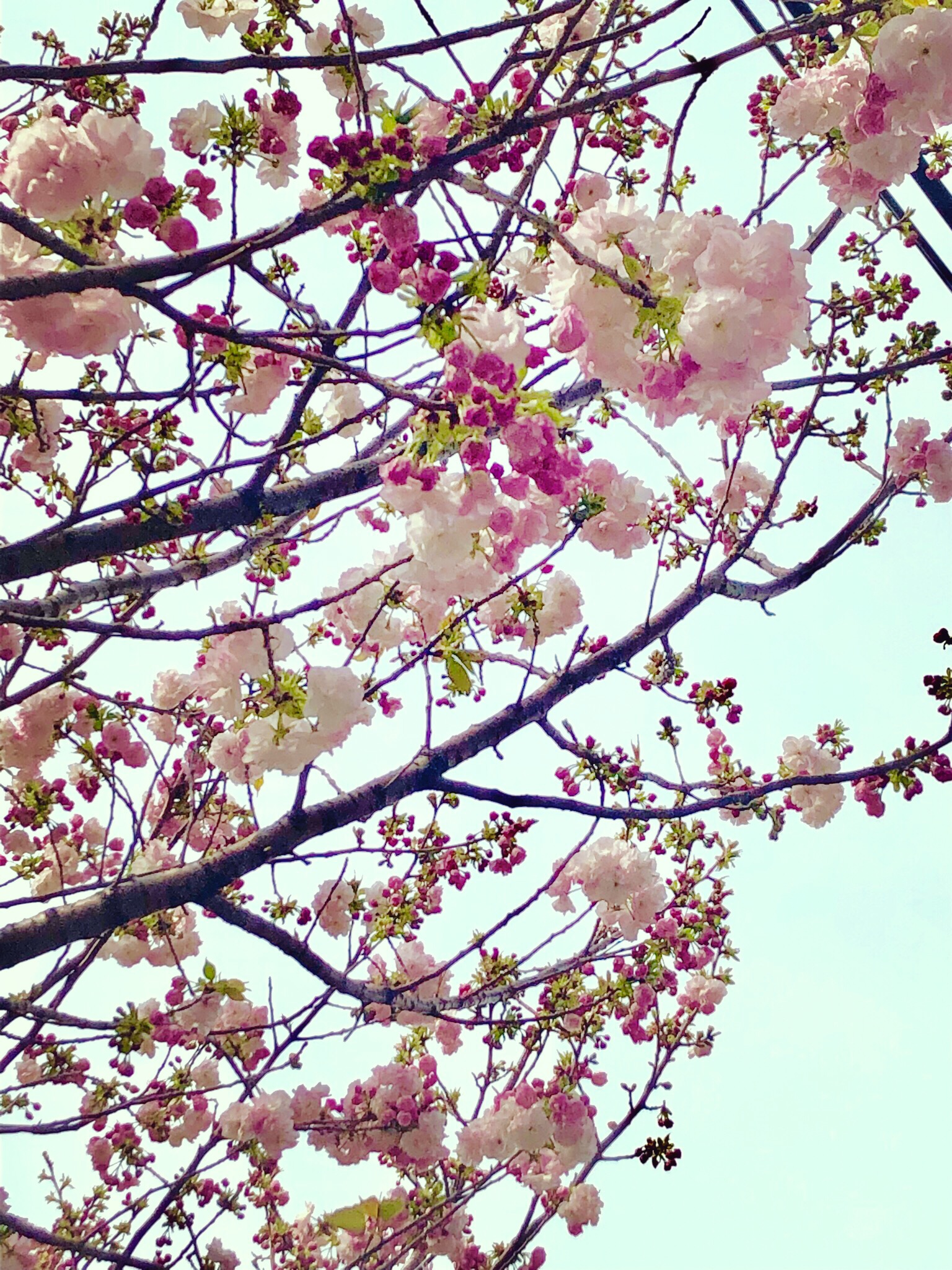 ❁近くの公園で…❁