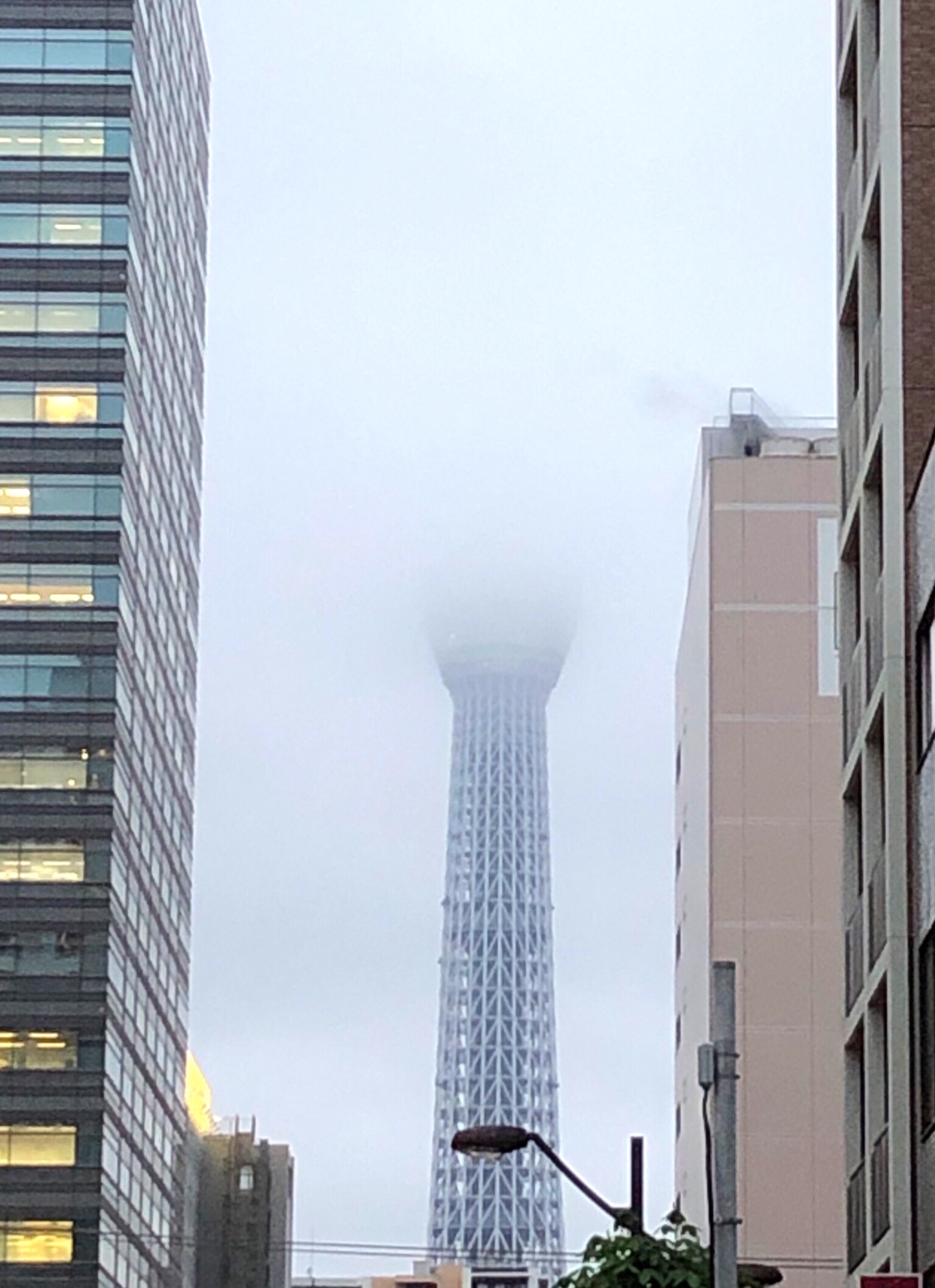 ❁梅雨明けはまだかな…❁