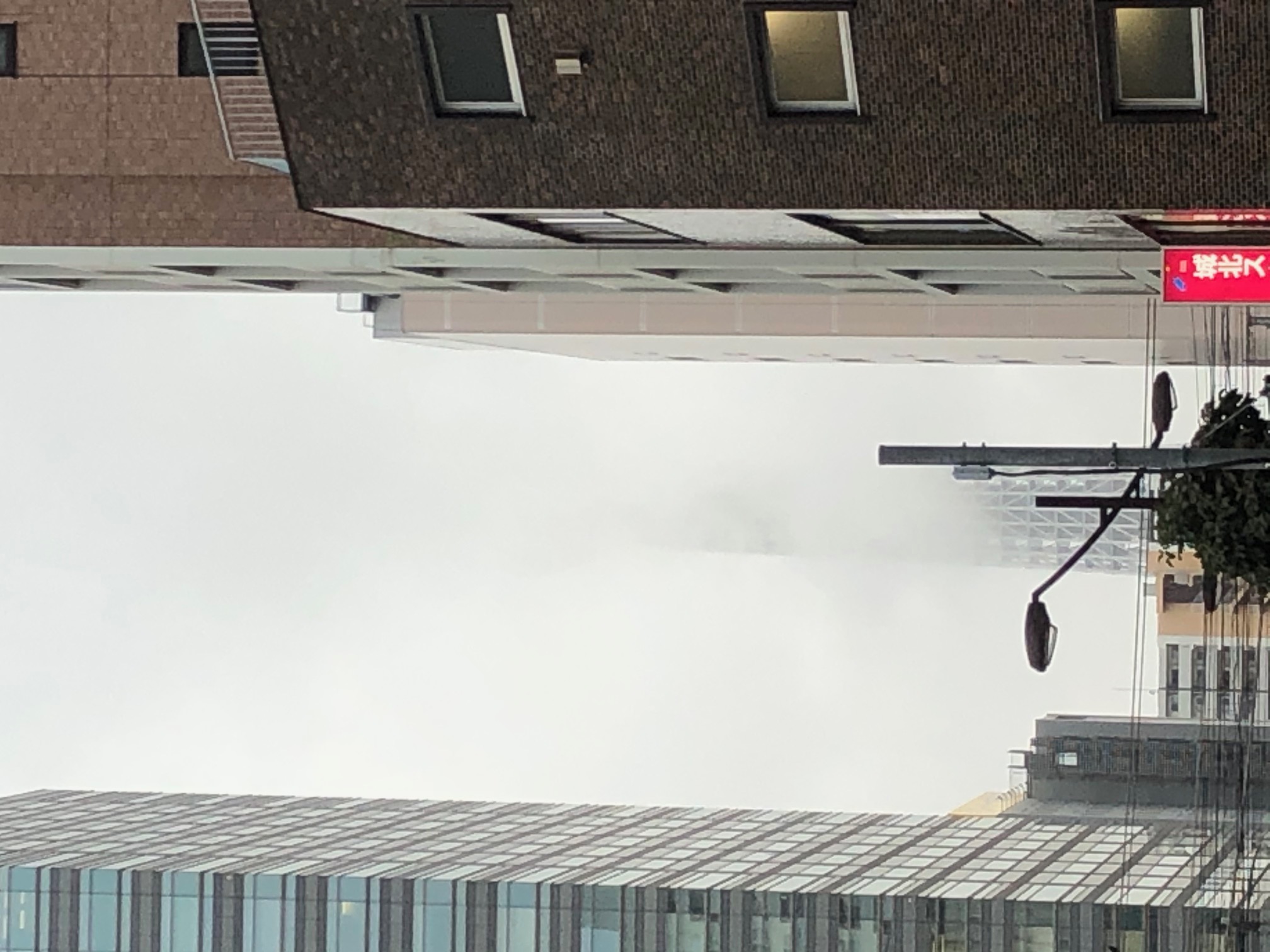 お久しぶりのスカイツリー写真です