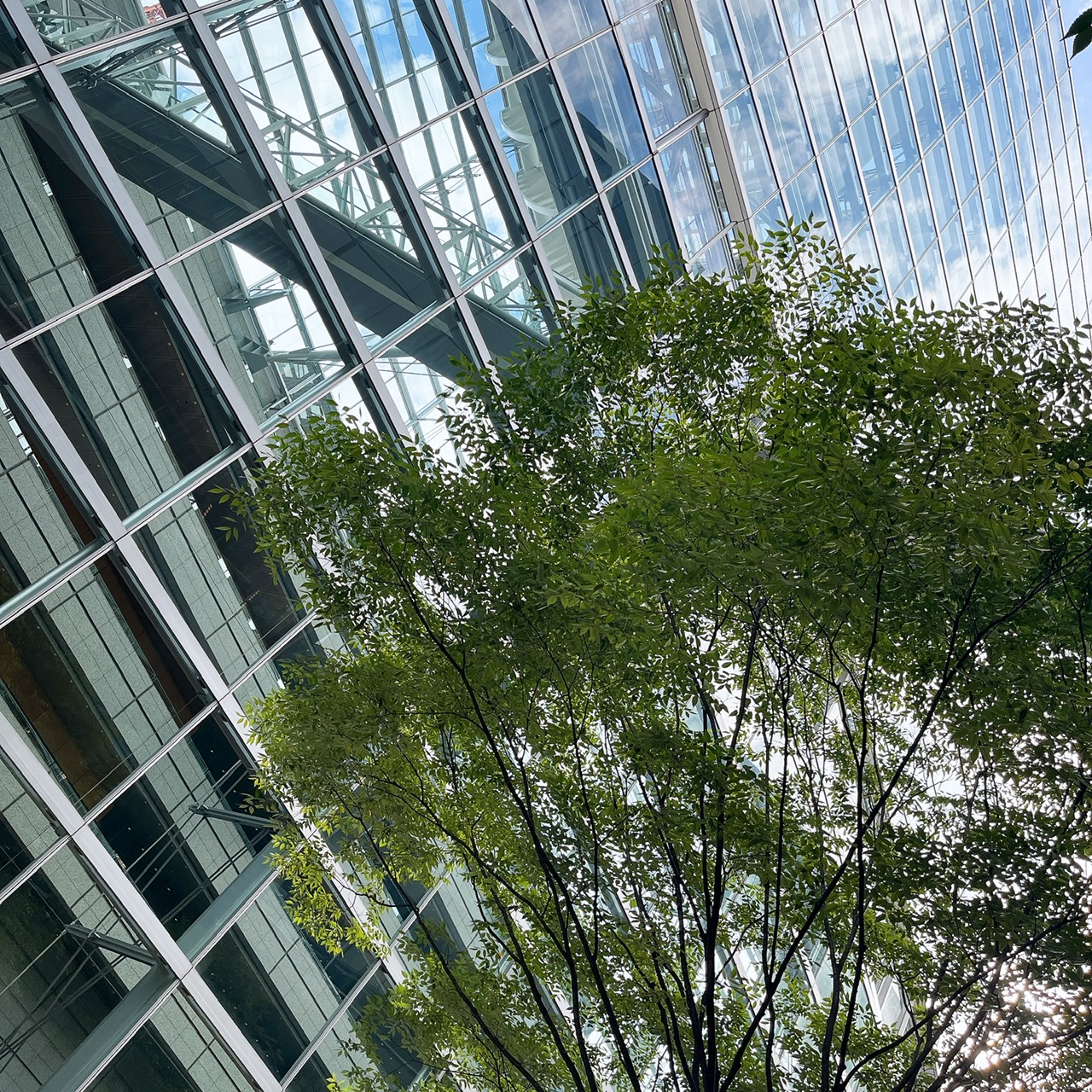 本日より営業しております