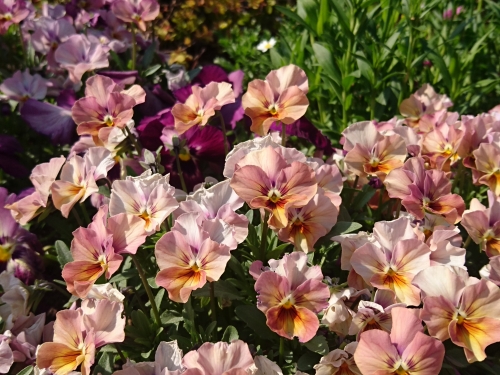 はじめまして。