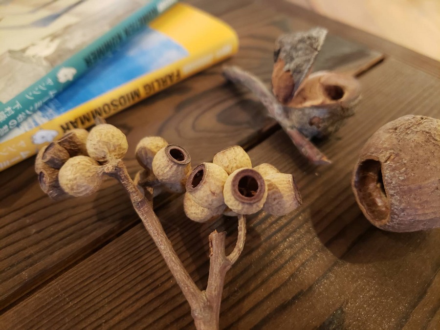 スタジオディスプレイ2020AUTUMN＊.*