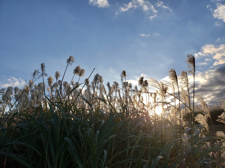 二十四節季：立冬