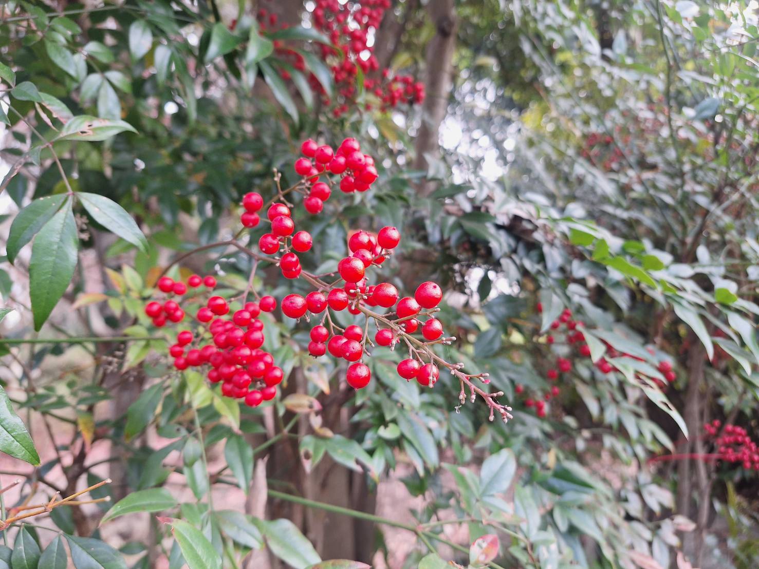 2025年 営業開始しました