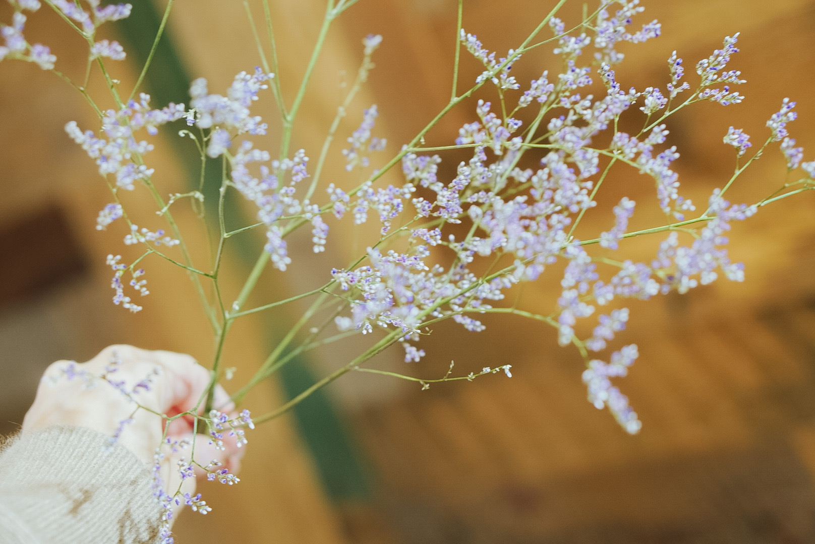 スタジオのお花