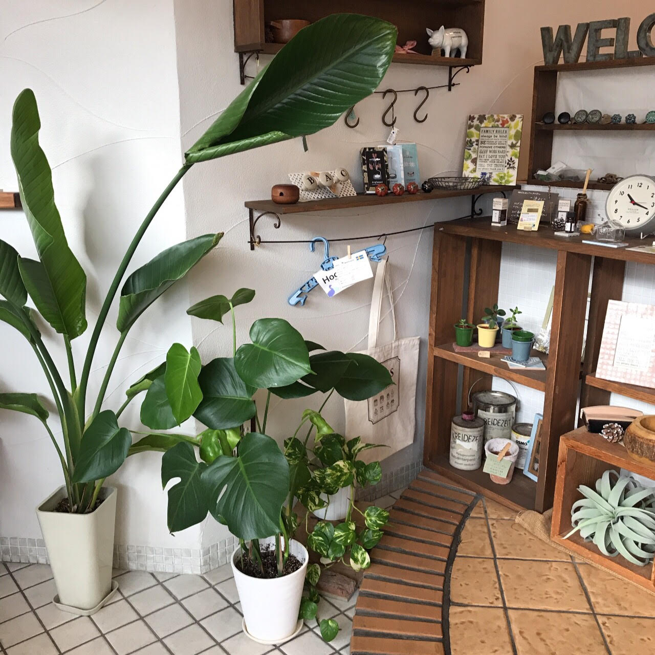 越谷店はグリーンがいっぱい