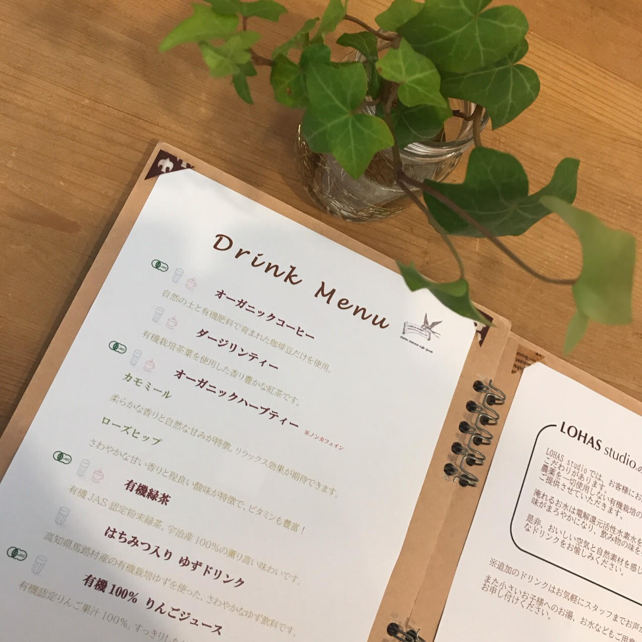 国産コーヒー農園　in 沖縄