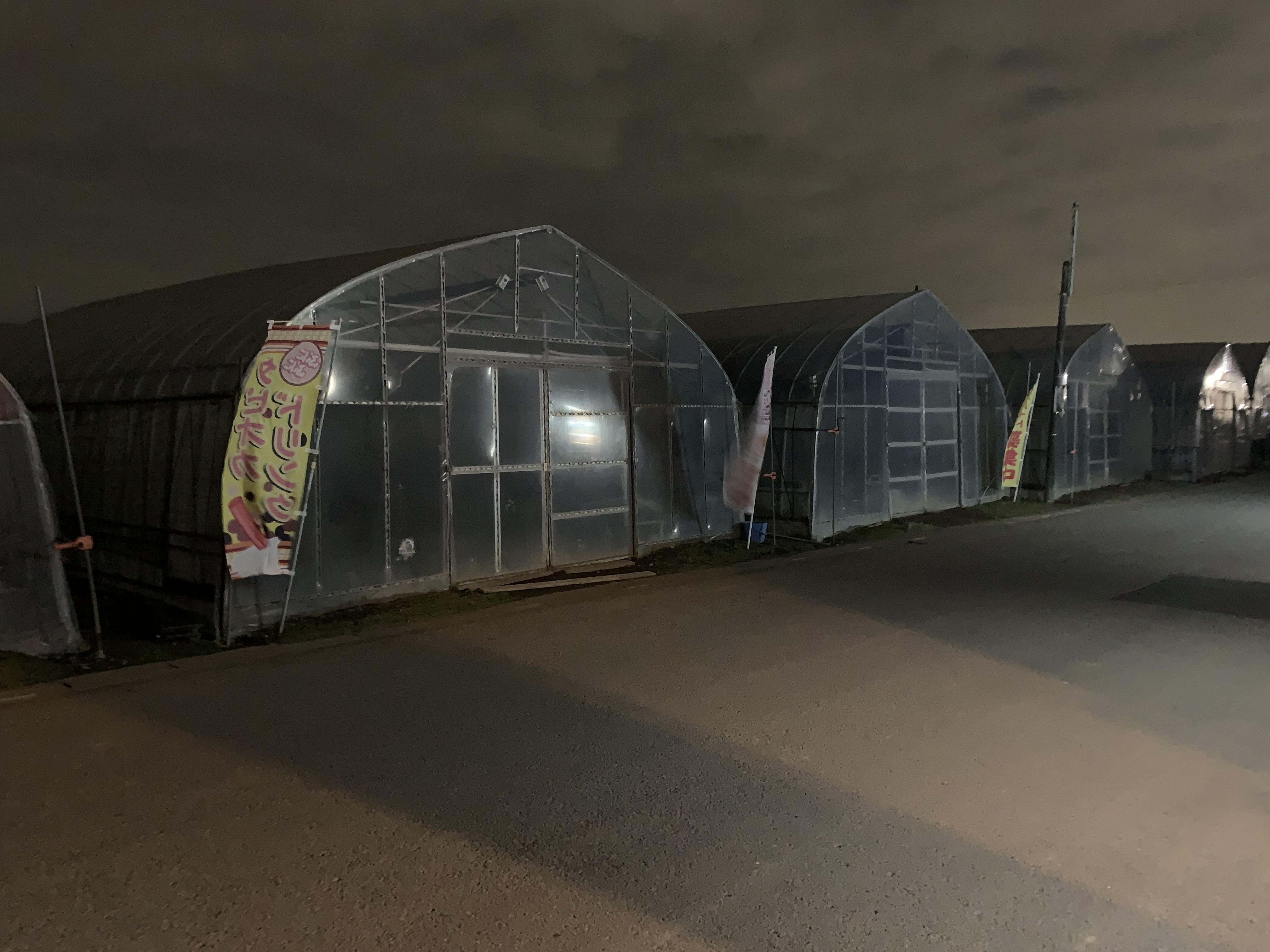 美味しいもの日記①