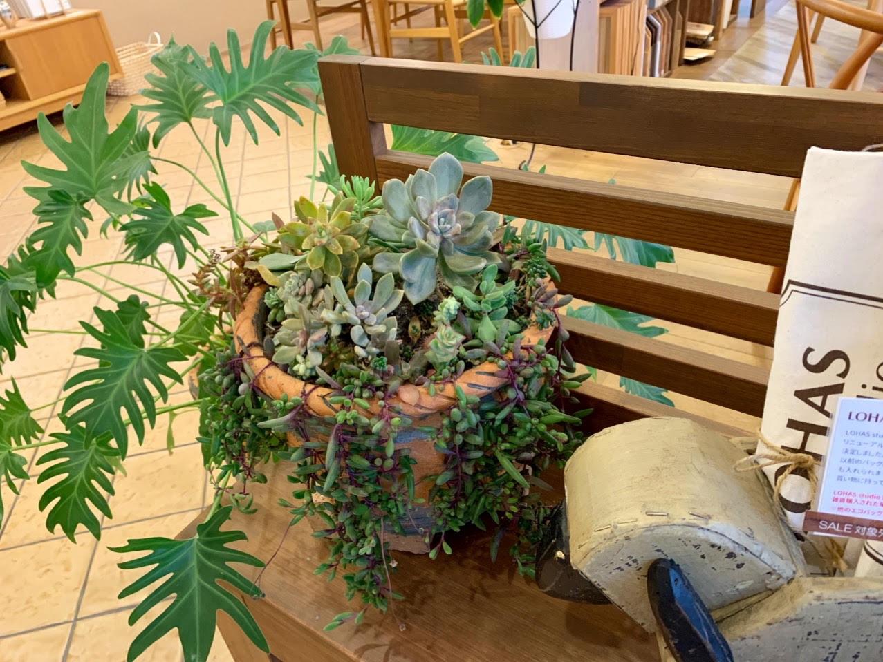 グリーン冬支度