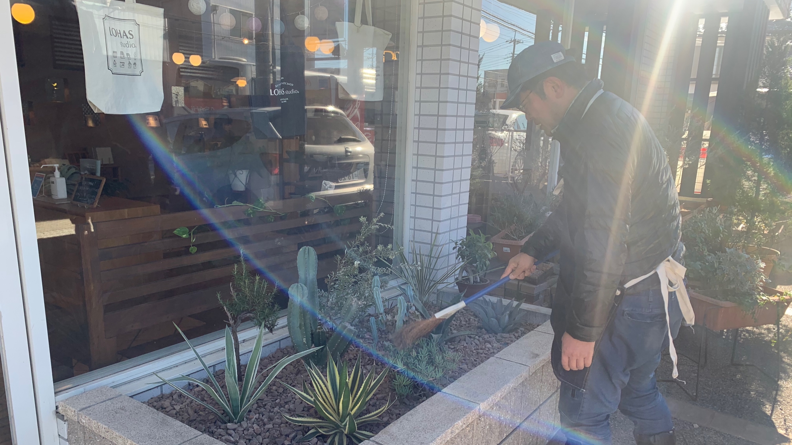 植物日記【11】