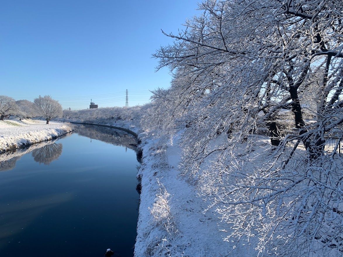 明けましておめでとうございます！