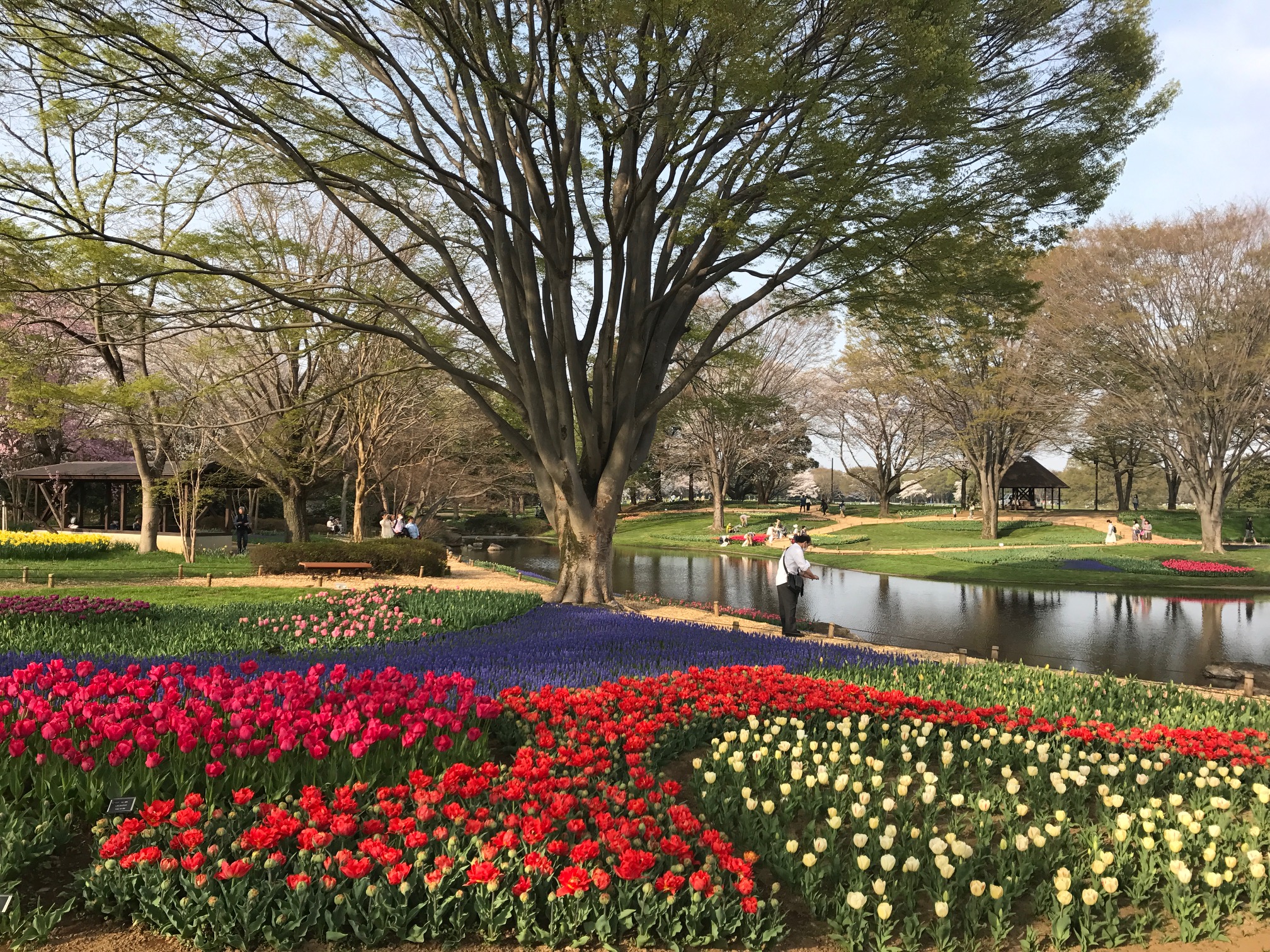 ＊FLOWER　FESTIVAL＊