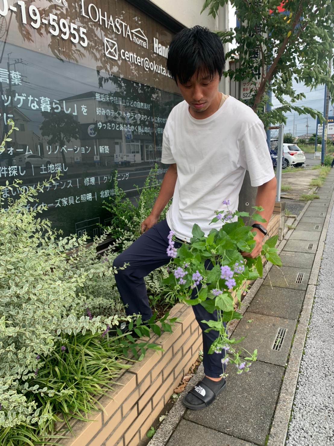 どれが草…？どれが花…？