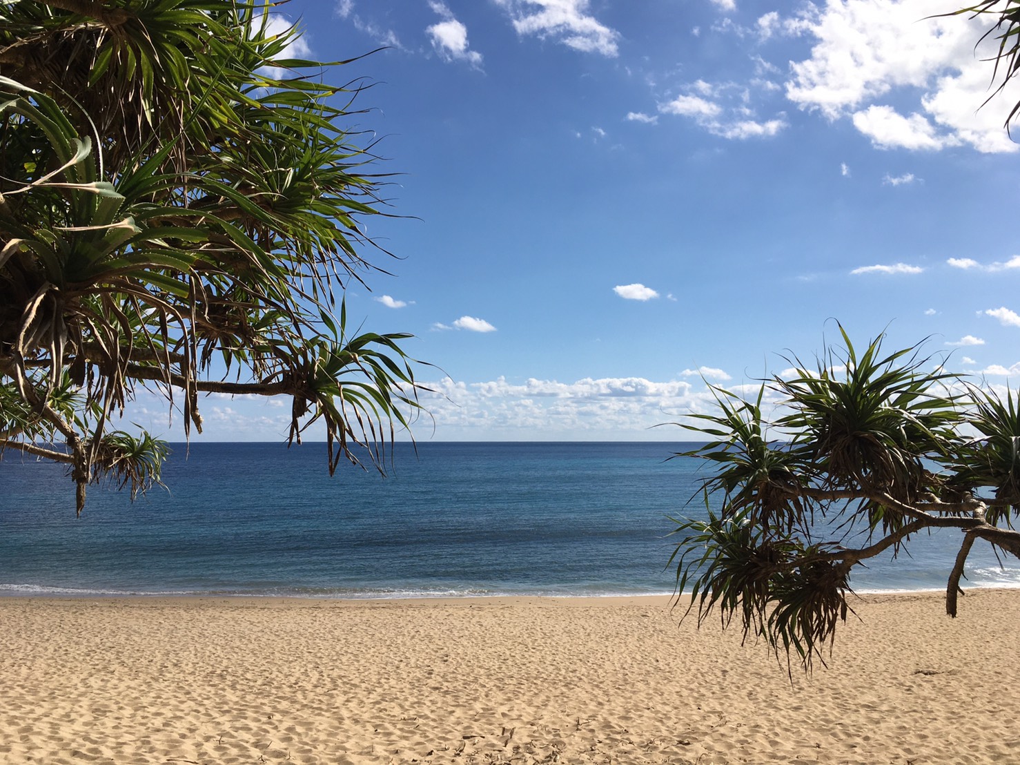 はじめまして。