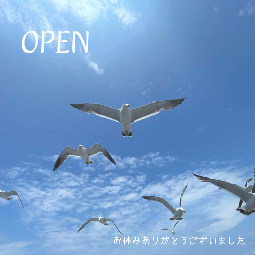 open (1)