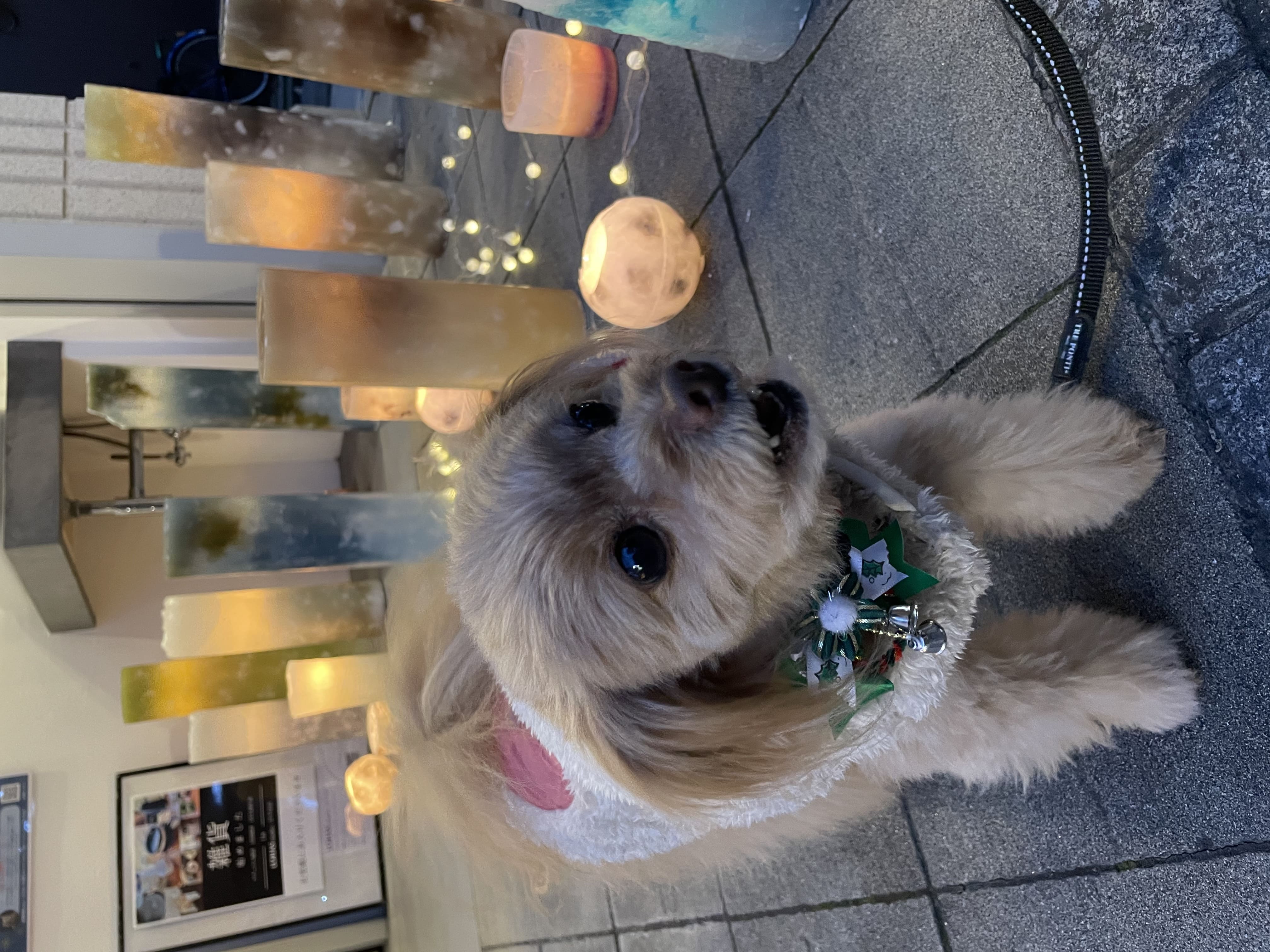 【北千住店】ワークショップ＆キャンドルナイト開催しました！