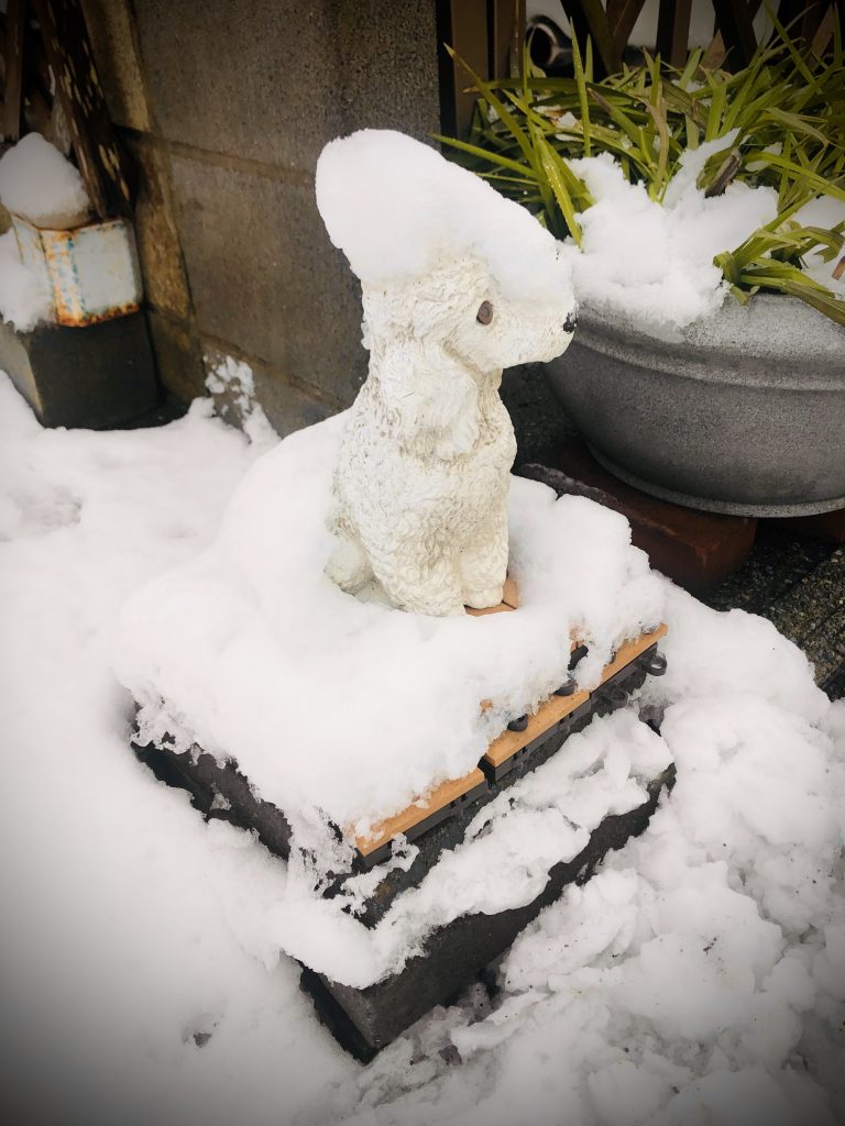 0A9BC8C1-1F06-4F76-ABC4-63967CF9ED8A