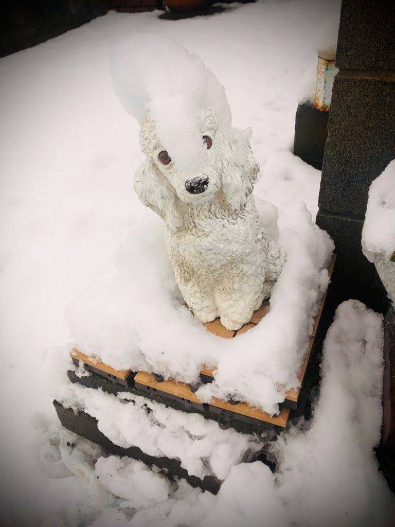 E4E670D6-36F0-40F5-9F04-C4A49897C6AD