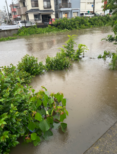 スクリーンショット 2023-06-19 133530