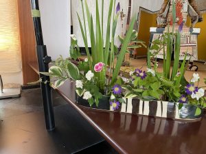 IMG_0840 (1) (1)
