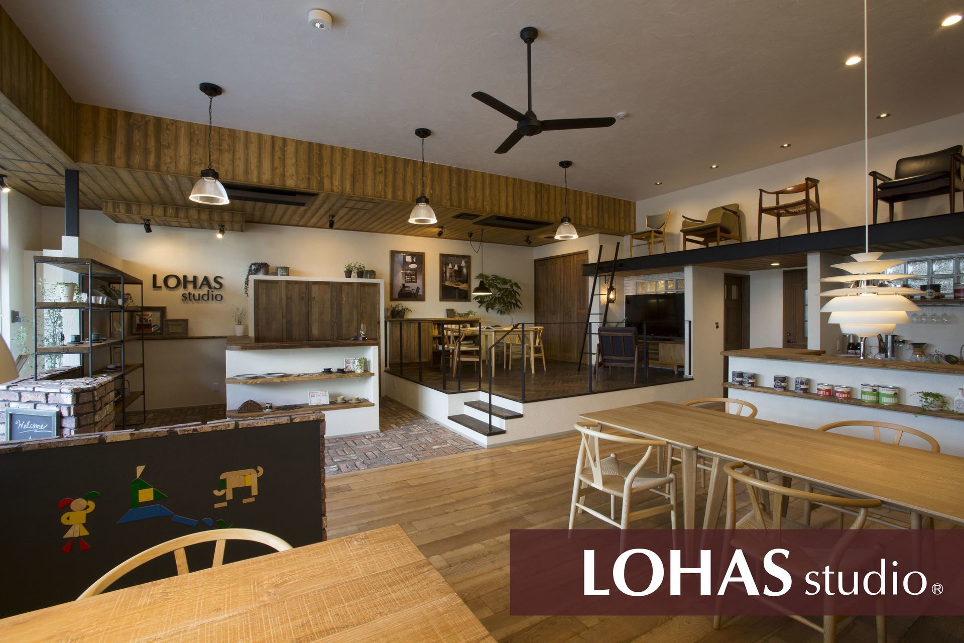 7/9（月）放送 TBSテレビ「ビビット」