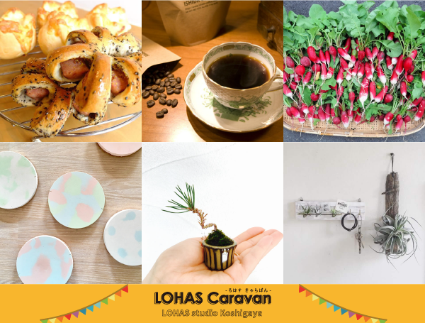 LOHAS CARAVAN-ろはす きゃらばんー