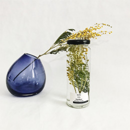 ハーバリウム/植物標本 