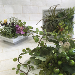 魅せ方にもこだわったレッスン