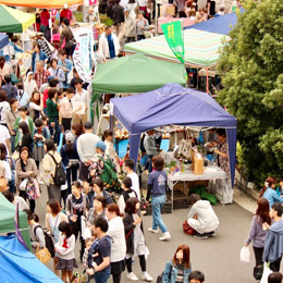 「Acha Acha（あちゃあちゃ）」とは......