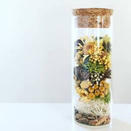 テラリウムづくり