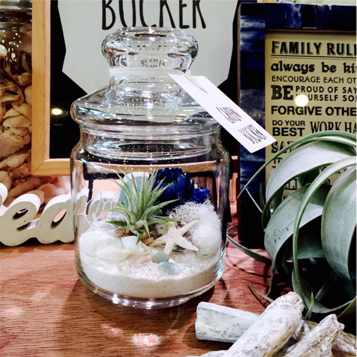 【さいたま】夏を彩るジュエル テラリウムを作ろう!(ワークショップ)