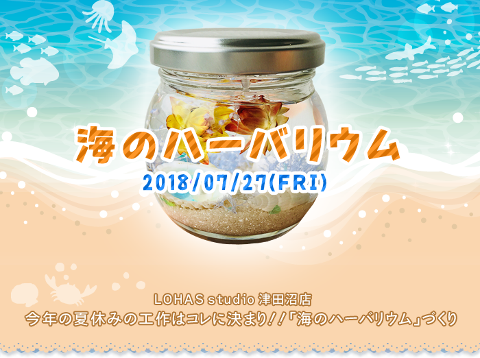 【船橋】夏休み子供企画！今年の夏休みの工作はコレに決まり！！「海のハーバリウム」(ワークショップ)