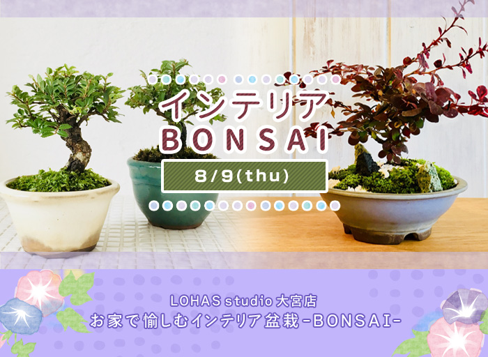 【さいたま】お家で愉しむインテリア盆栽 -BONSAI-(ワークショップ)
