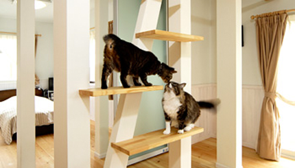 ペットと暮らすリフォーム リフォーム マンションリフォームならlohas Studio ロハススタジオ Presented By Okuta オクタ