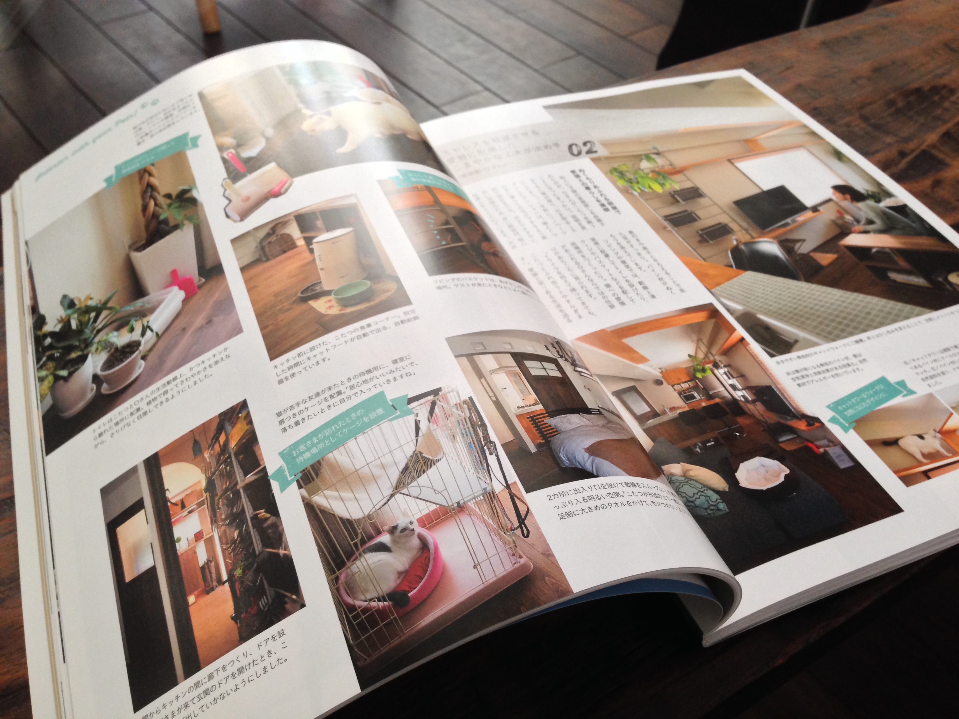 PLUS1 Living 2015 Spring 掲載ページ